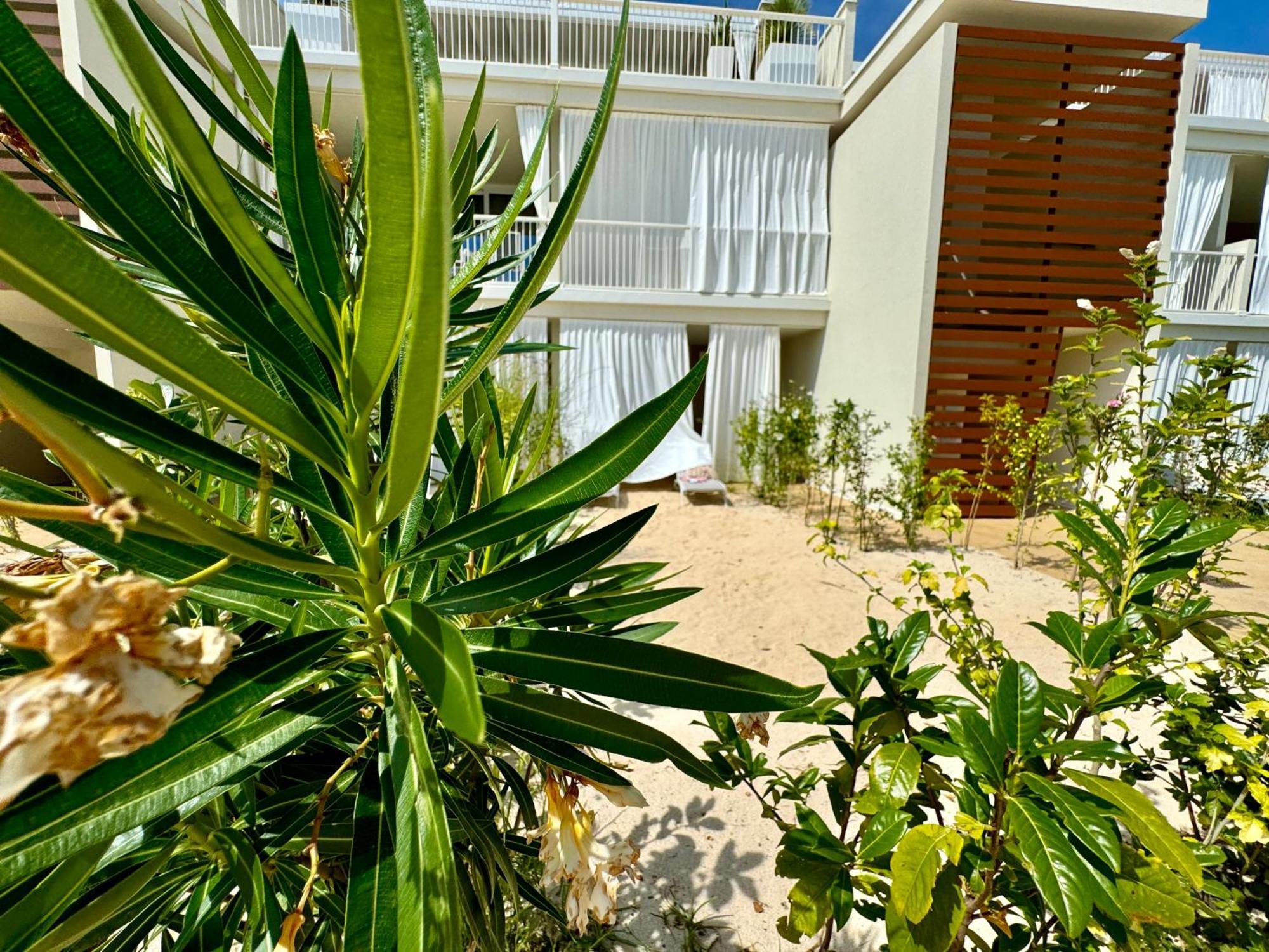 Ginevra Vittoria's House - Wave Island - Lido Appartamento *